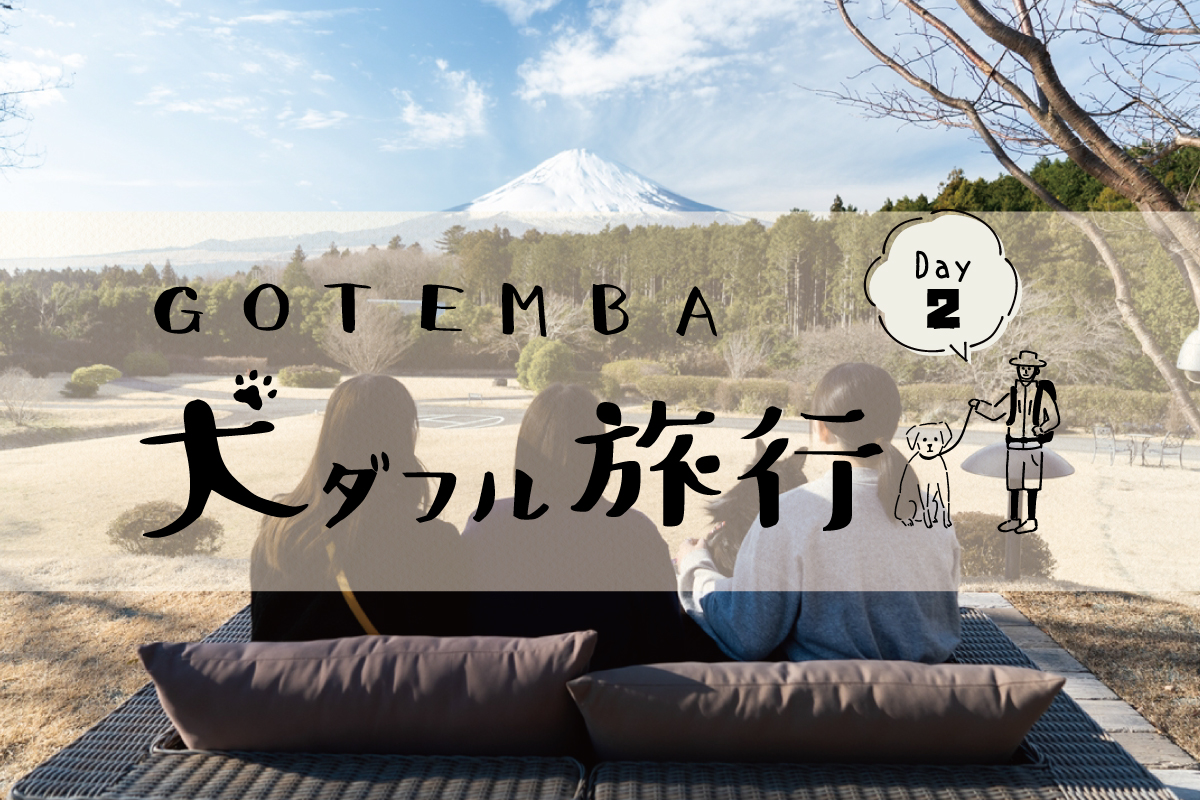 GOTEMBA犬ダフル旅行【DAY2】