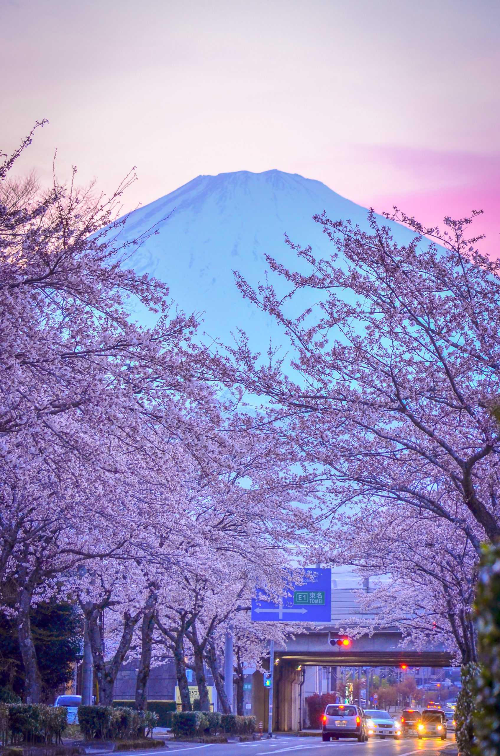 第回御殿場桜まつり写真コンテスト Indexgotemba
